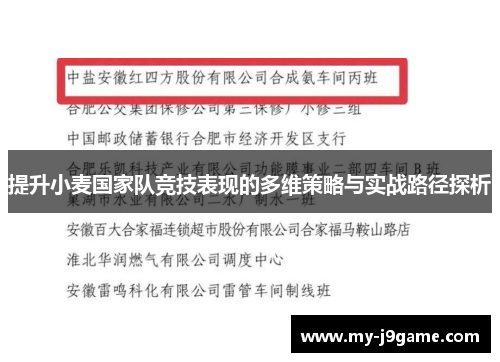 提升小麦国家队竞技表现的多维策略与实战路径探析