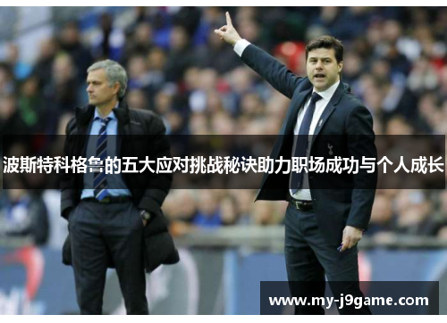 波斯特科格鲁的五大应对挑战秘诀助力职场成功与个人成长